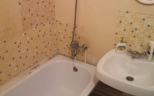 Studiya S Balkonom Flat