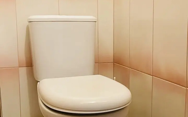 Biryulevskaya 31k1 Flat