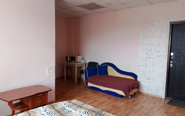 Studiya V Tsentre Flat