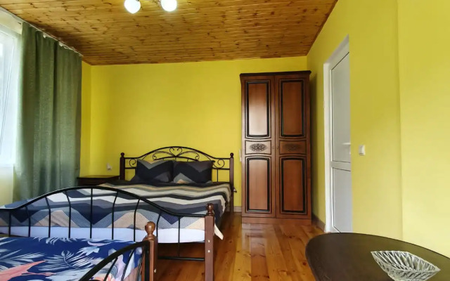 Abaza Guest House