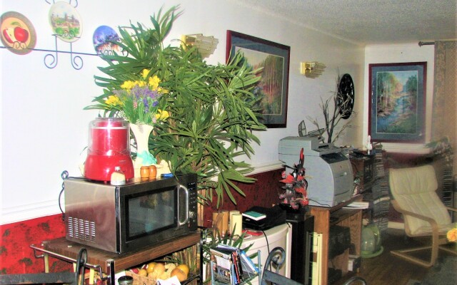 Bob Cinciruk Mini-Hotel