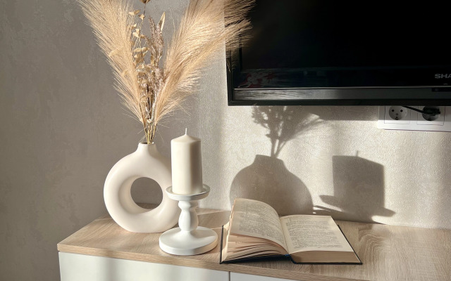 Квартира Уютная в самолете