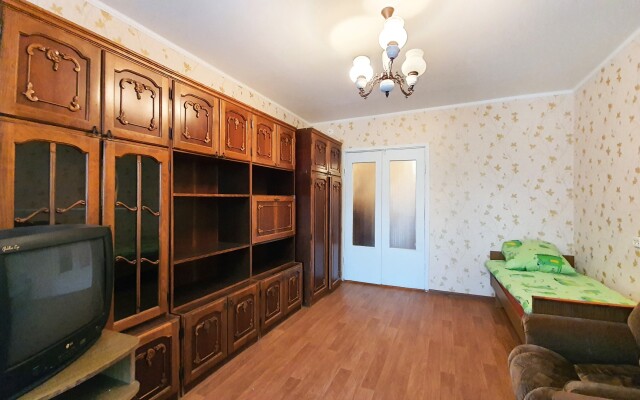 V Tsentre Vladimira Apartments