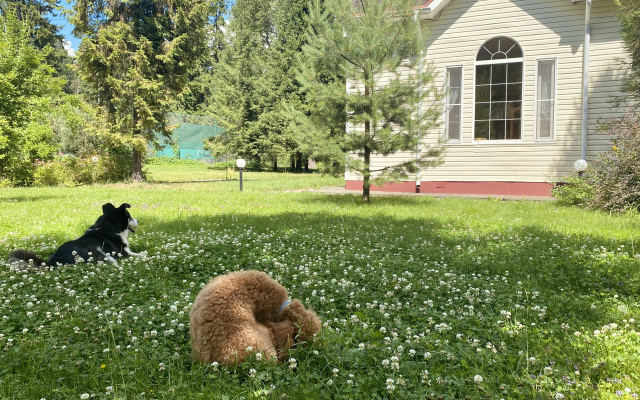 Гостевой Дом Dacha Space