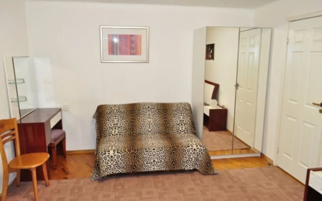 Квартира двухкомнатная в историческом центре города