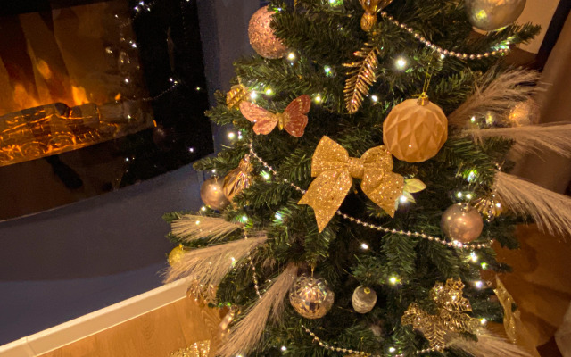 Квартира с отдельной спальней в центре Ярославля