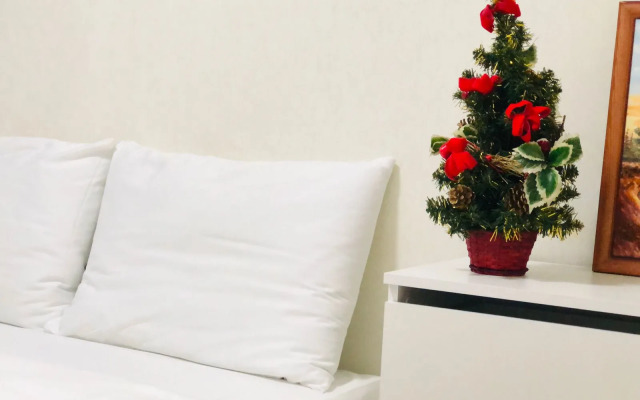 Апартаменты двухкомнатные в центре у озера