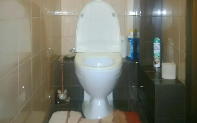 Trekhkomnatnaya v Tsentre Romashki Kvartira