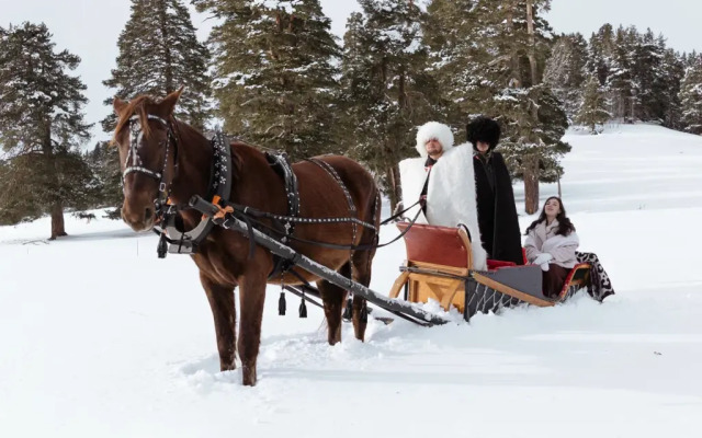 Отель Архыз Роял Резорт энд Спа