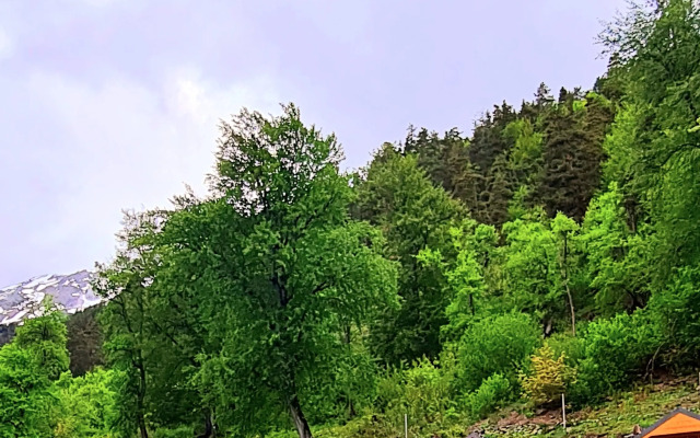 Skazochnaya Dolina