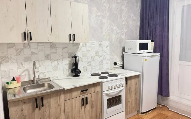 1-Komn. na Partizana Zheleznyaka 61 Flat
