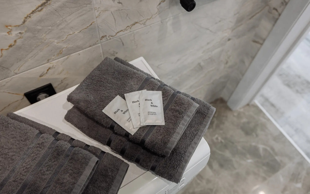 Apartamenty Elizavetinskaa 8