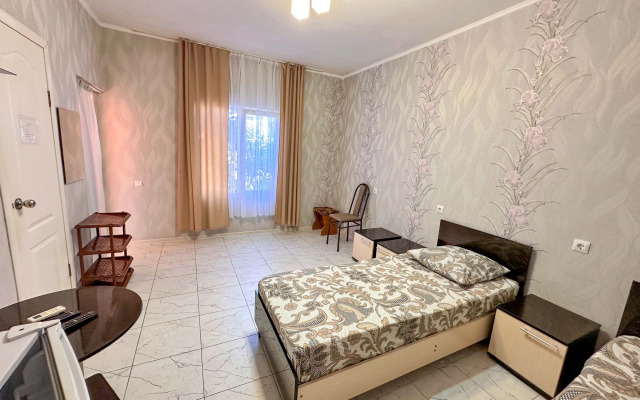 Апартаменты Адлер, Чкалова улица, д.71  №4 «Альфагид»