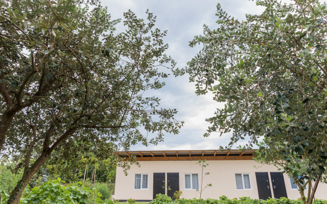 manushak Guest house