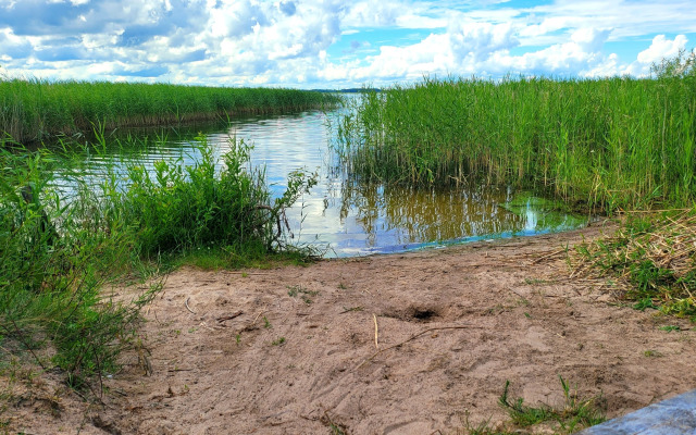 Частный дом в деревне Сосно 104