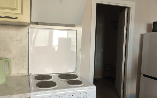 V Petrodvortsovom Rayone Flat