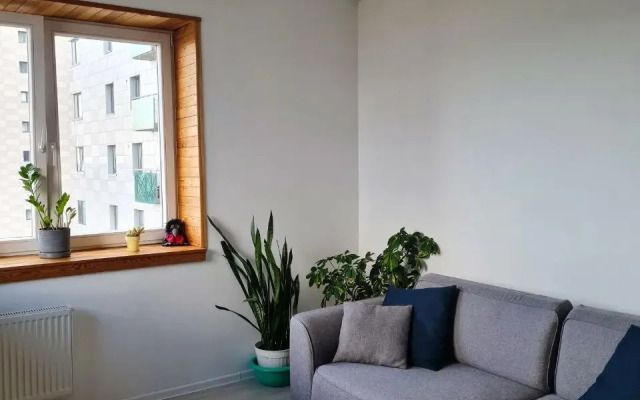 Olivinn S Vidom Na Onezhskoe Ozero Apartaments