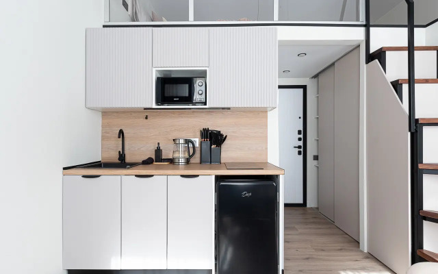 Квартира на Владимирском 16 (1)