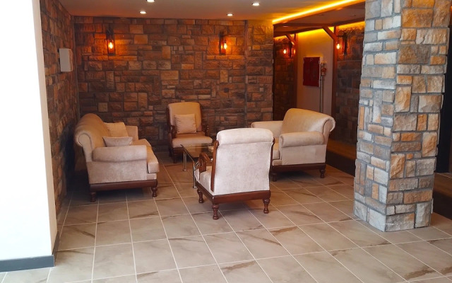 Отель Metinoğlu Pansiyon (Chalet Khione) Sarıkamış