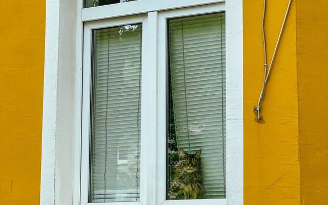 Апартаменты с камином в Амалиенау