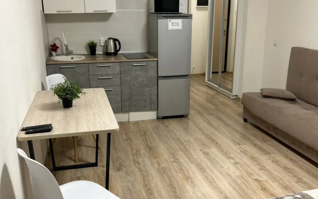 Dream House U Aeroporta Apartments