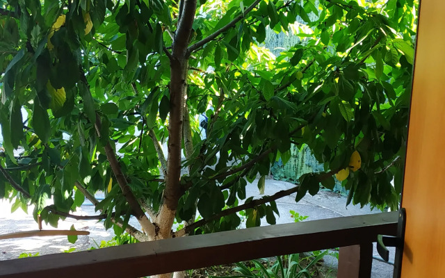 Guest house Nasha Dacha
