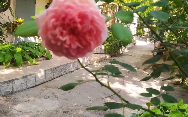 Celica Guest house