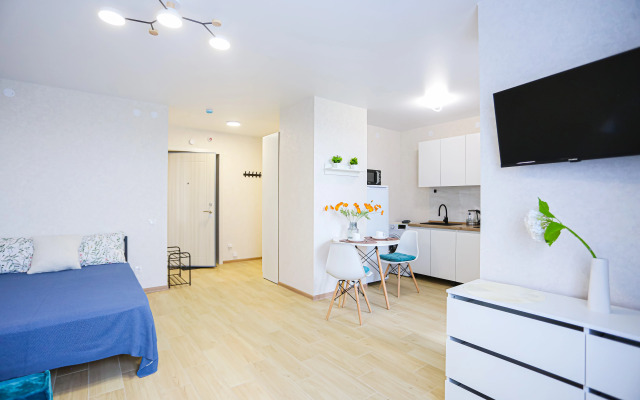 U Petrovny uyutnaya Studiya Flat