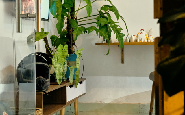Peaceful Saigon 1BR in District 1 Pet-friendly Private house – Hotel Rooms – Ho Chi Minh City