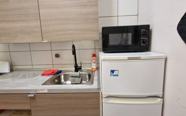 Odnokomnatnaya Posutochno V Istre Flat