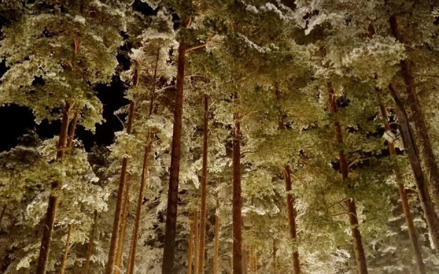 Отель Курорт Большое Борково