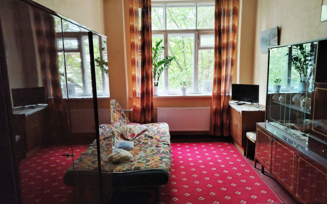 Dvukhkomnatnaya V Tsentre Goroda U Parka Flat