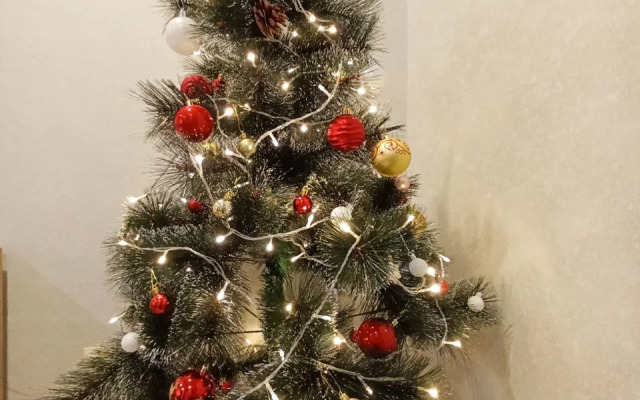 Квартира Евродвушка в новом ЖК