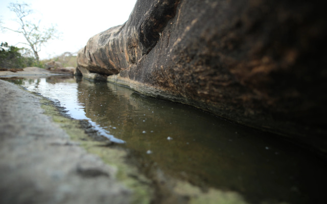 Topan Yala – Luxury Tented Safari