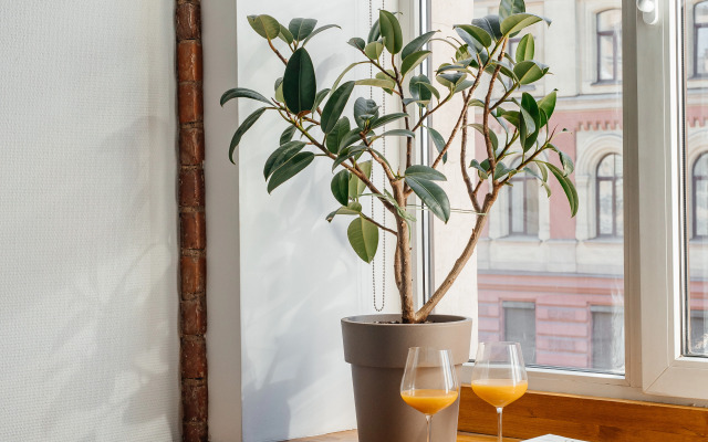 Апартаменты ApartH с видом на город и камином