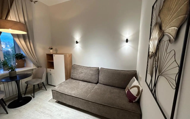 Квартира Видовая студия в центре Петроградки