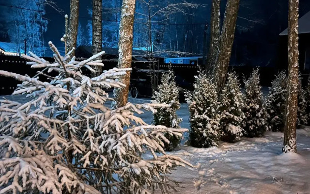 Частный дом Домик в лесу с камином и банным чаном