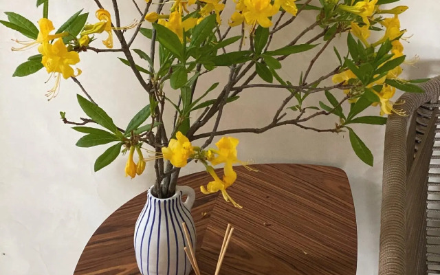 Samshitovaya Roscha Hotel