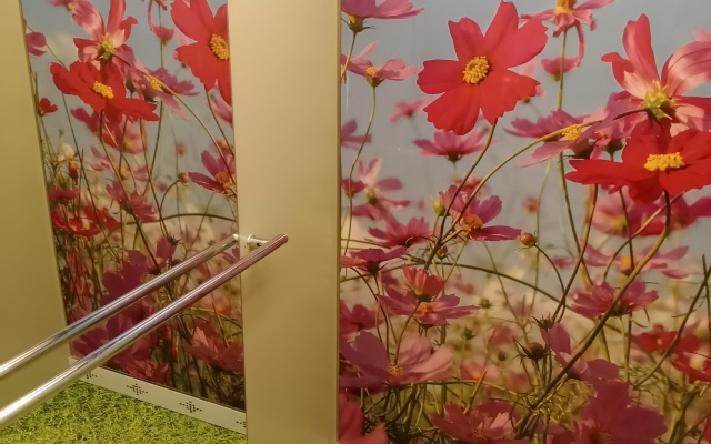 Квартира Увидеть Петербург у метро Лесная