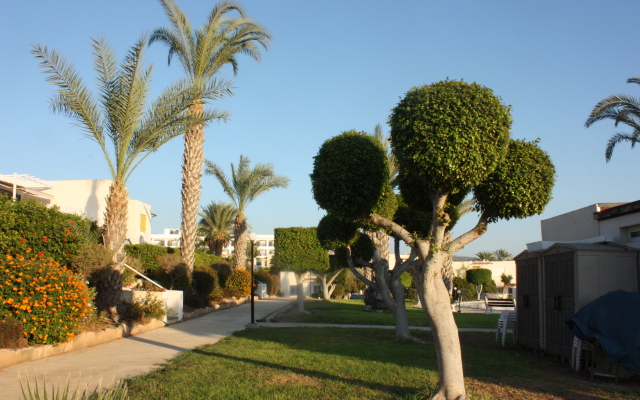 Green Oasis Beach Apartments