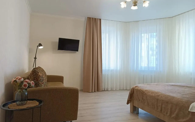 Апартаменты двухкомнатные на Дуки 71, Оливковая