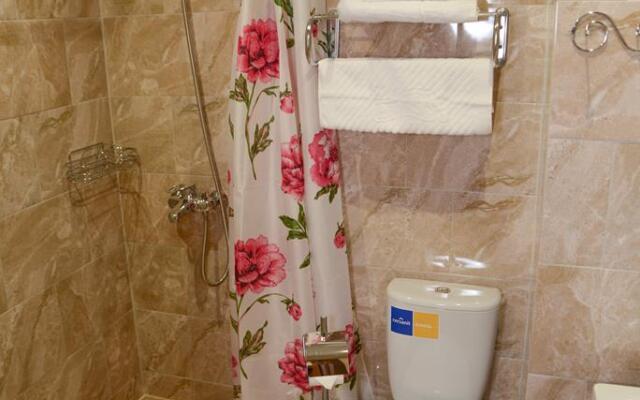 Sheremet'evo-Aleksandriya Guest House