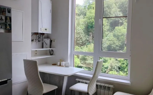 Semeynaya Studiya u Reki Kvatro Flat