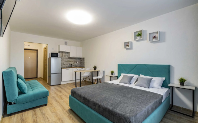 Odnokomnatnye apartamenty u Aeroporta Apartments