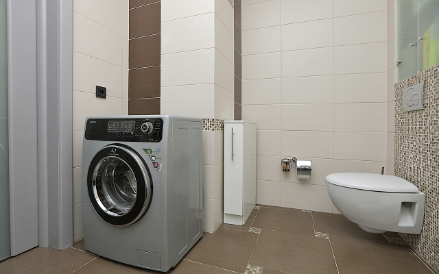 Апартаменты Alekseeva 113