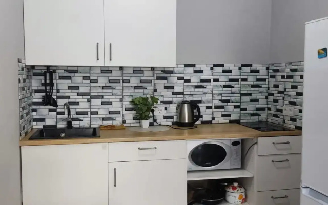 Na Karpinskogo Flat