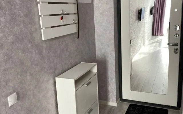 Квартира на Депутатской 10Б/1 (269)