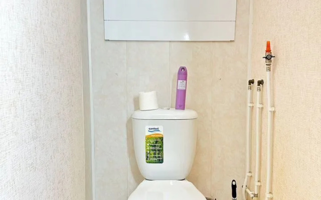 Квартира Светлая Однокомнатная на Челюскинцев 2Б