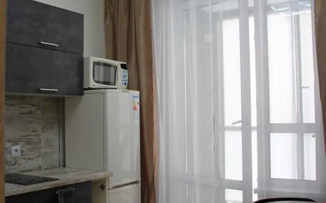 ApartPiter Novoselye Flat