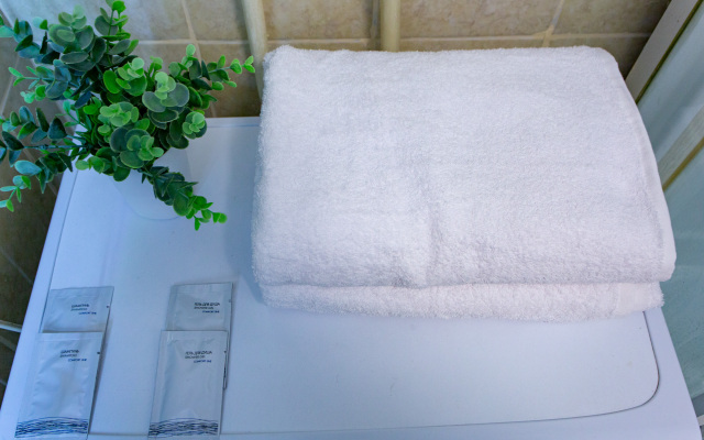 Квартира большая и красивая на Кирова